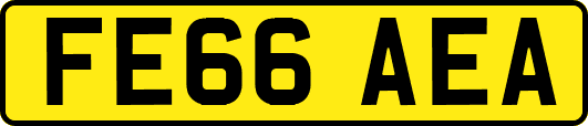 FE66AEA
