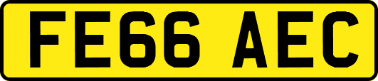 FE66AEC