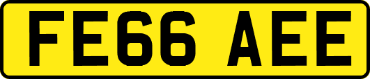 FE66AEE