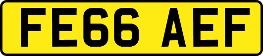 FE66AEF
