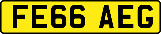 FE66AEG
