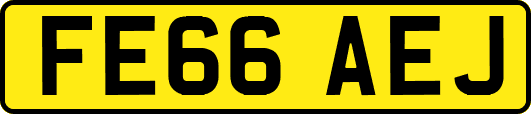 FE66AEJ