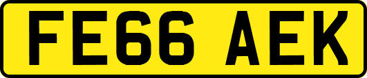 FE66AEK