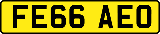 FE66AEO