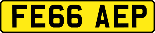 FE66AEP