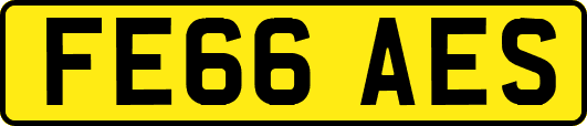 FE66AES