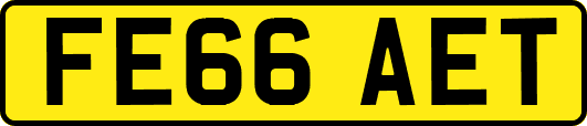 FE66AET