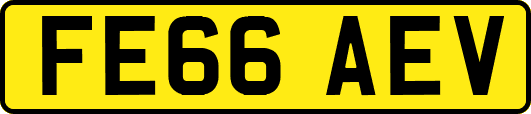 FE66AEV