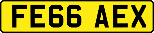 FE66AEX