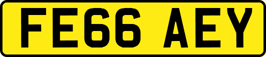 FE66AEY