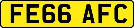 FE66AFC