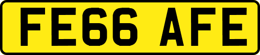 FE66AFE