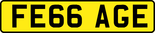 FE66AGE
