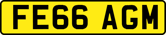 FE66AGM