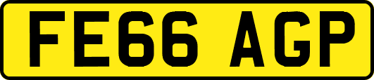 FE66AGP