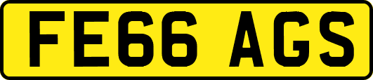 FE66AGS