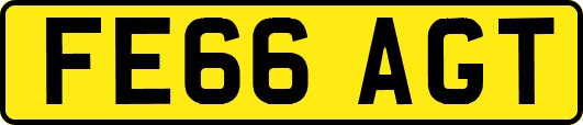 FE66AGT