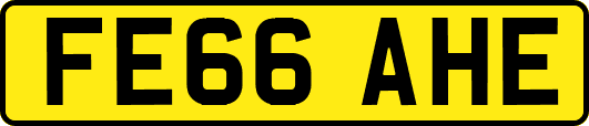 FE66AHE