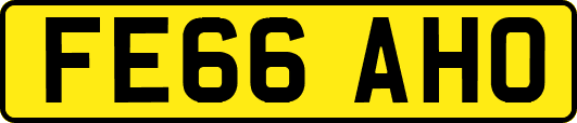 FE66AHO