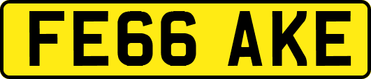FE66AKE