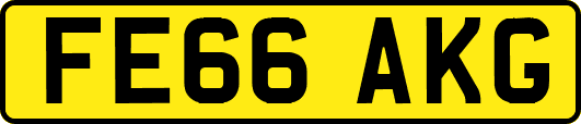 FE66AKG