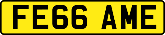 FE66AME
