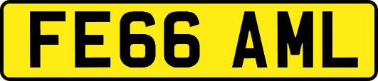 FE66AML