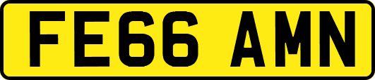 FE66AMN