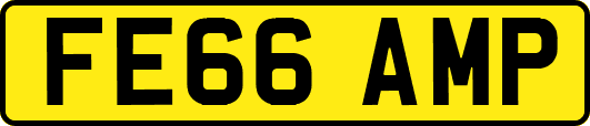 FE66AMP
