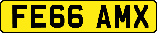 FE66AMX