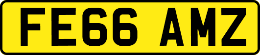 FE66AMZ