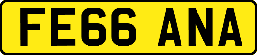 FE66ANA