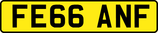 FE66ANF