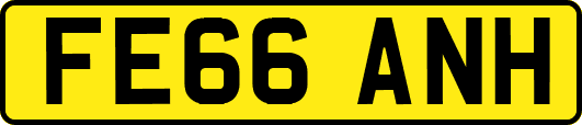 FE66ANH