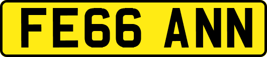 FE66ANN