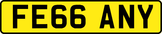 FE66ANY
