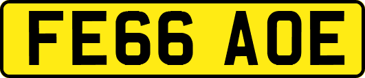 FE66AOE