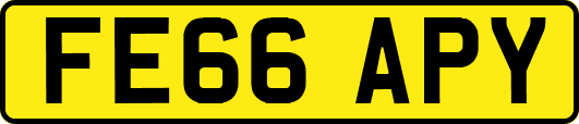 FE66APY