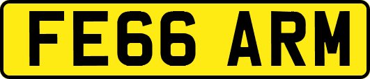 FE66ARM
