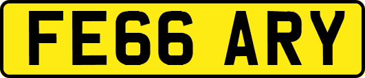 FE66ARY