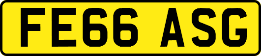 FE66ASG