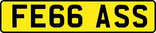 FE66ASS