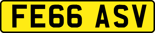 FE66ASV