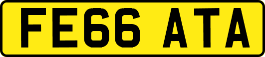 FE66ATA