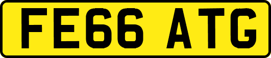 FE66ATG