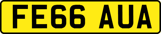 FE66AUA