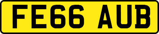 FE66AUB