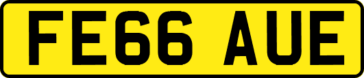 FE66AUE