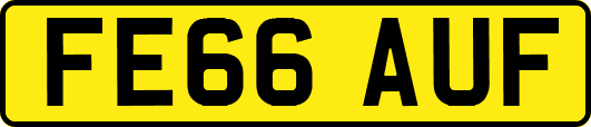 FE66AUF