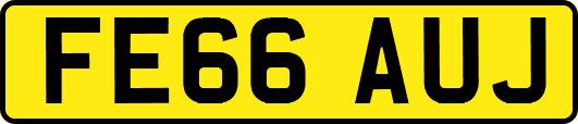 FE66AUJ
